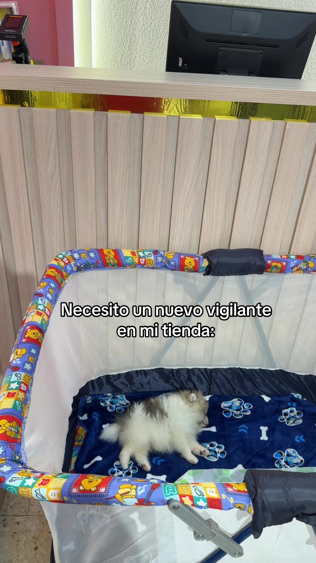 @♑️