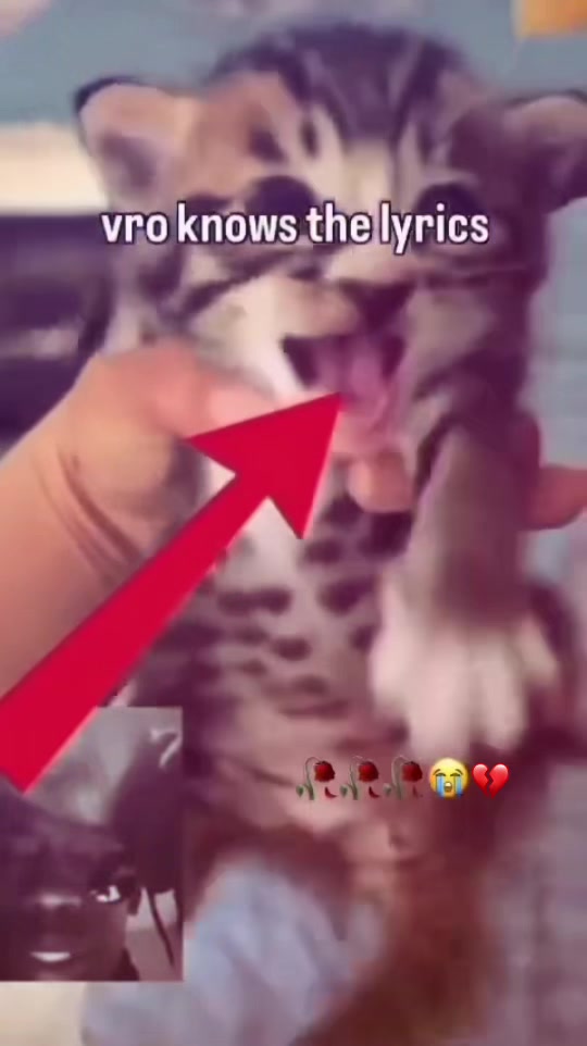 @lunarbi 🫦