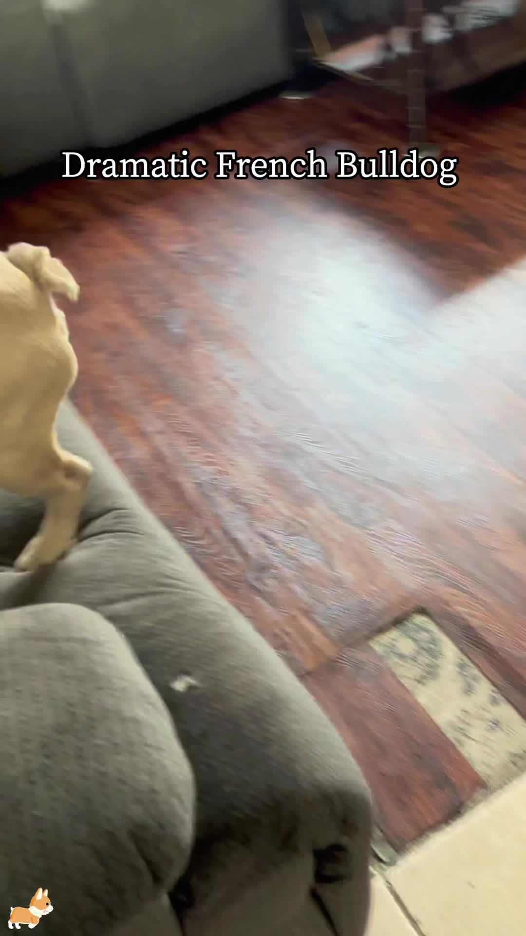 @SneakyFails