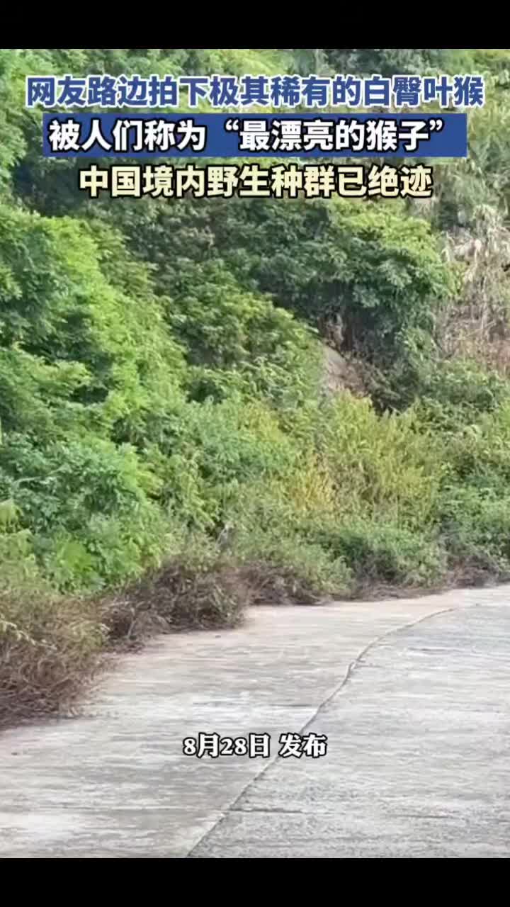 @18号