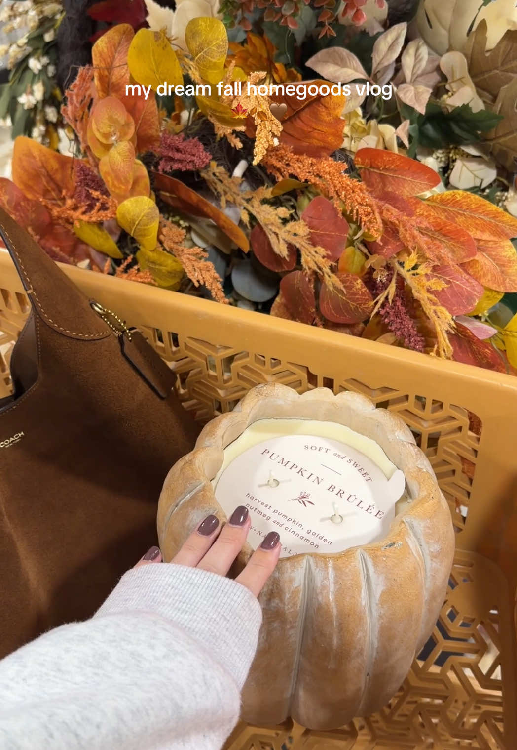 @brooke obrien 🍁🍂