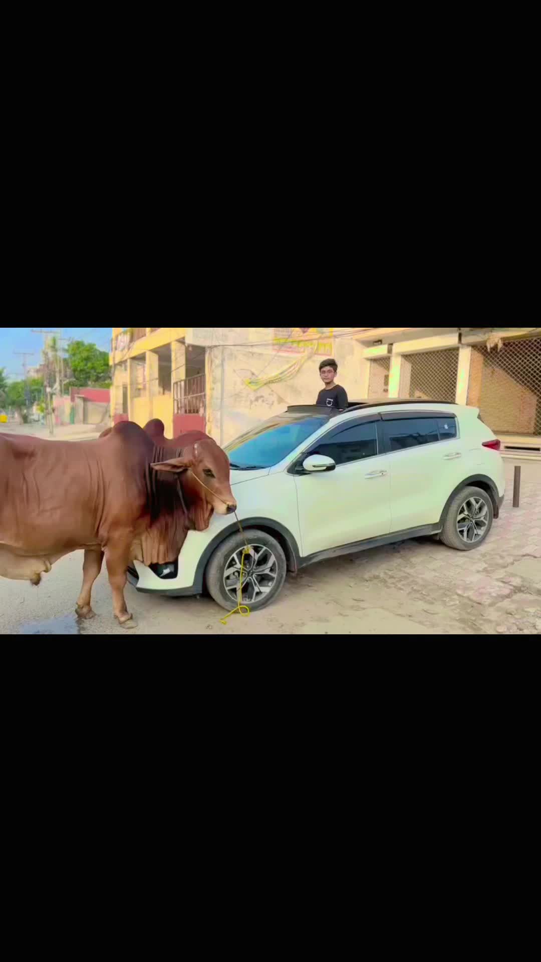 @اکرام kingson