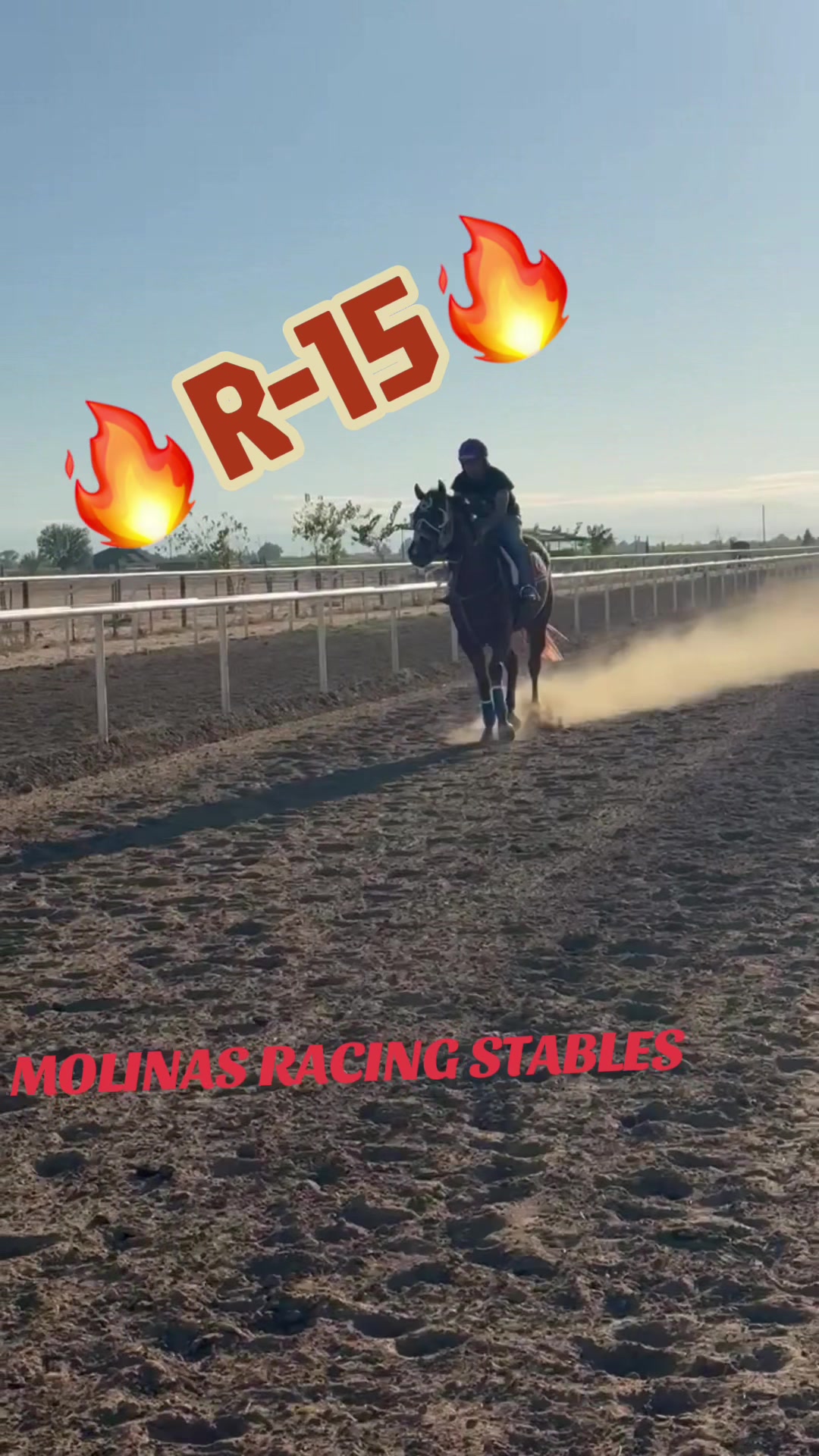 @Tavo Molina