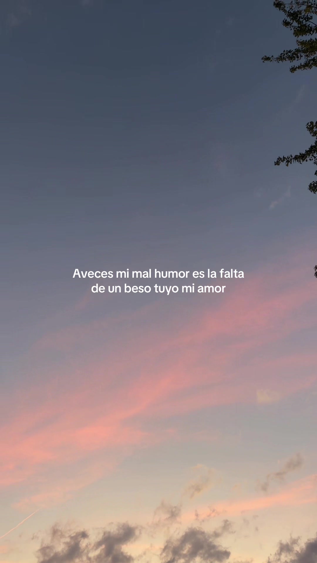 @“Voces del Eco”
