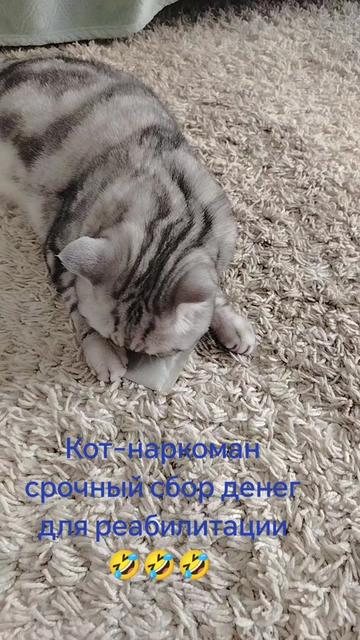 @Александр
