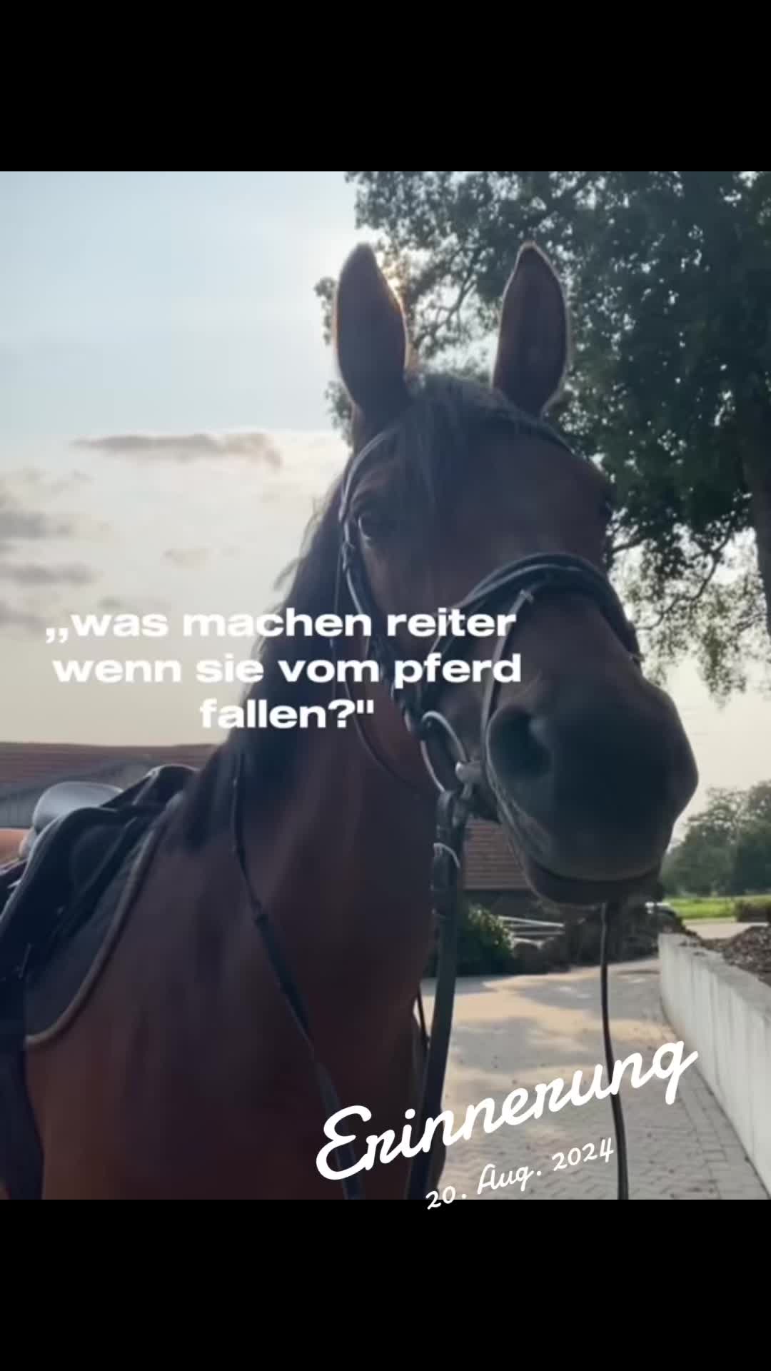 @Mia-sophie