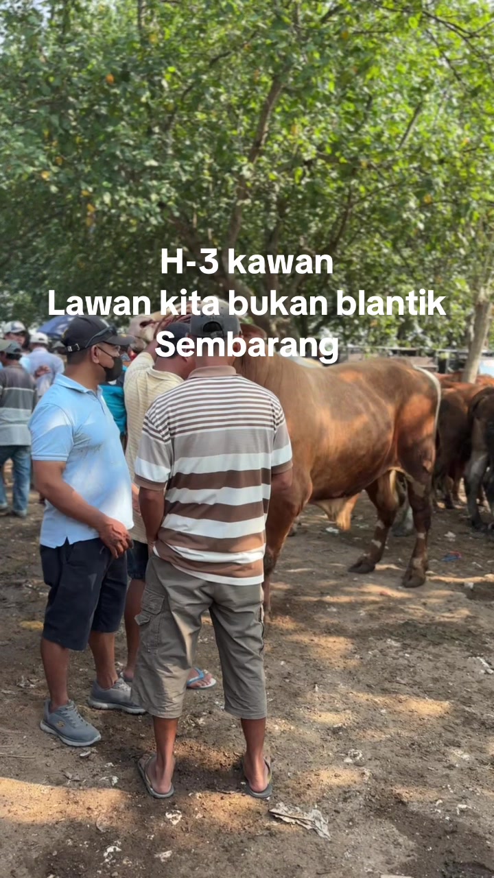 @BANDAR99_FARM