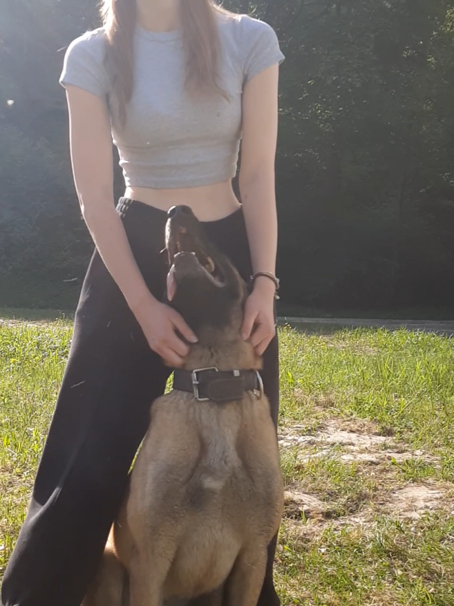 @Malinoirist Bootcamp