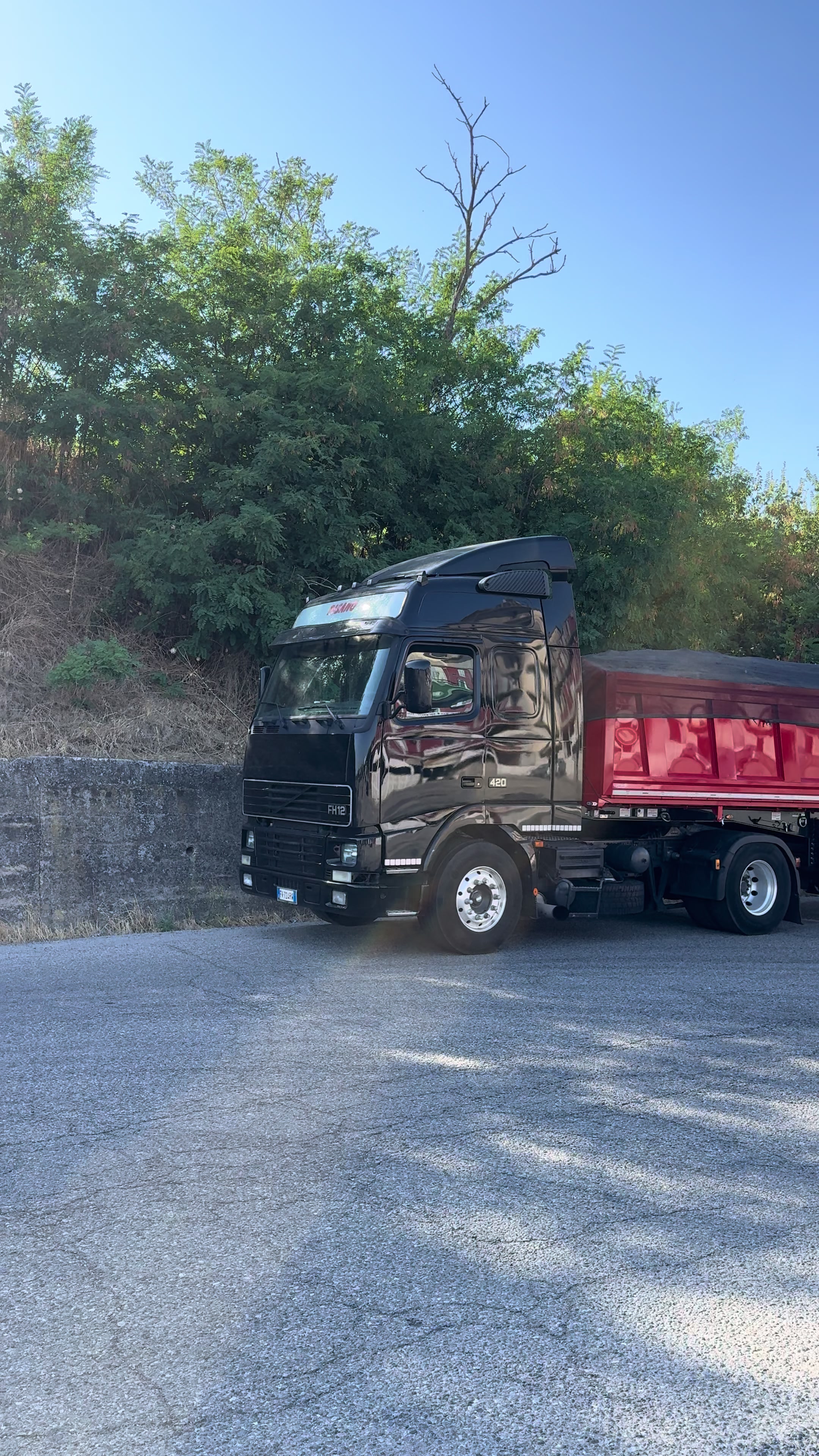 @cavallinorampantev8