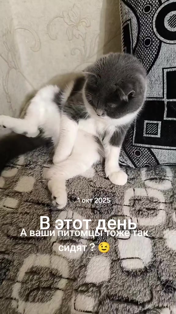 @Марта
