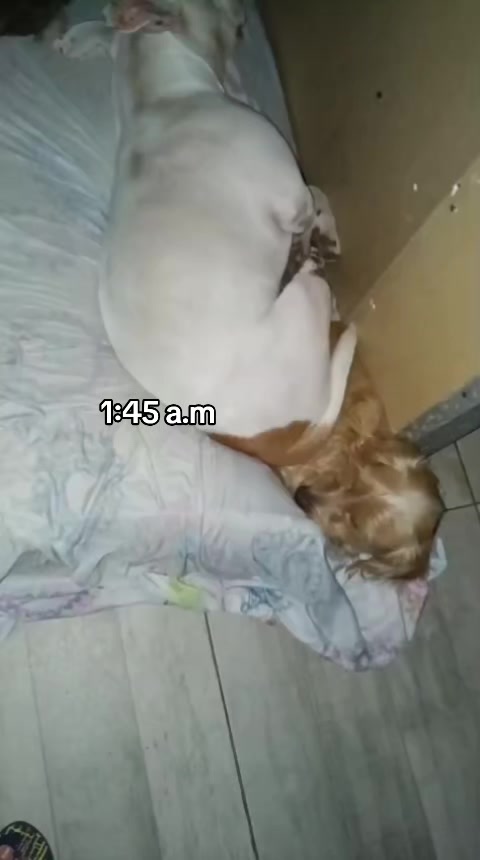 @QuimeyMacarena