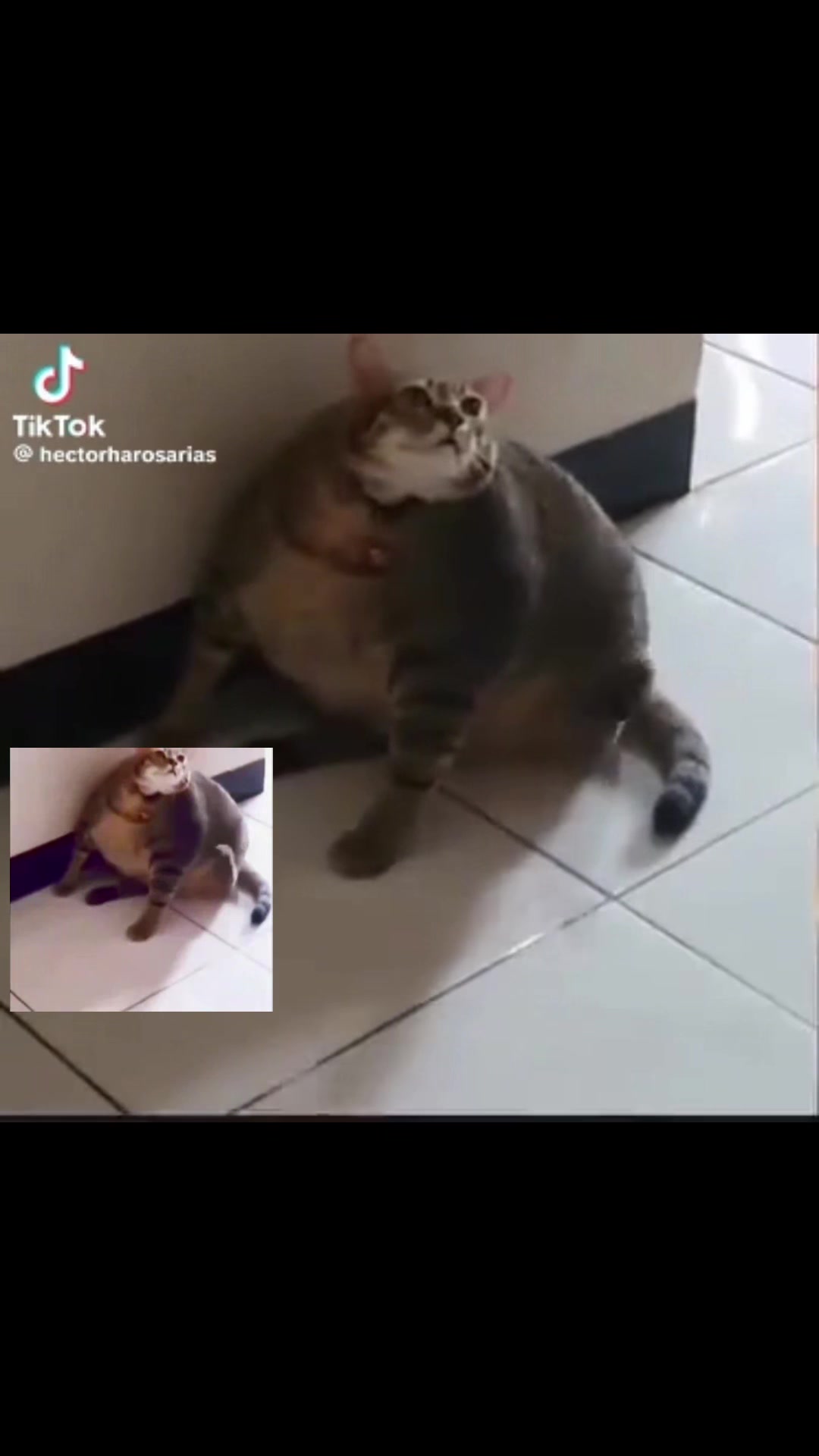 @???
