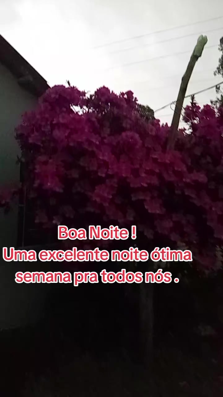@Marlusa Ferreira Moreira