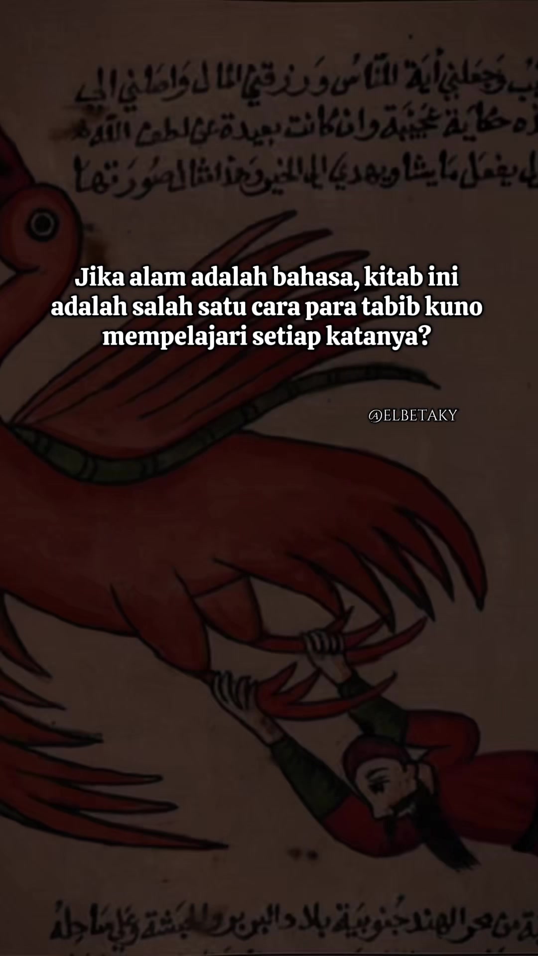 @elbetaky