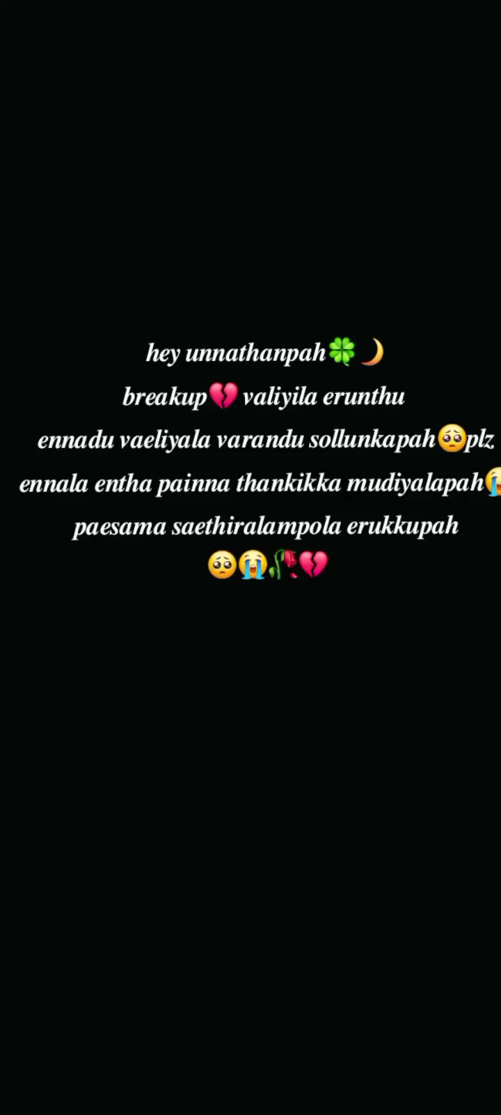 @🐾Meow 😻 kutty🐾