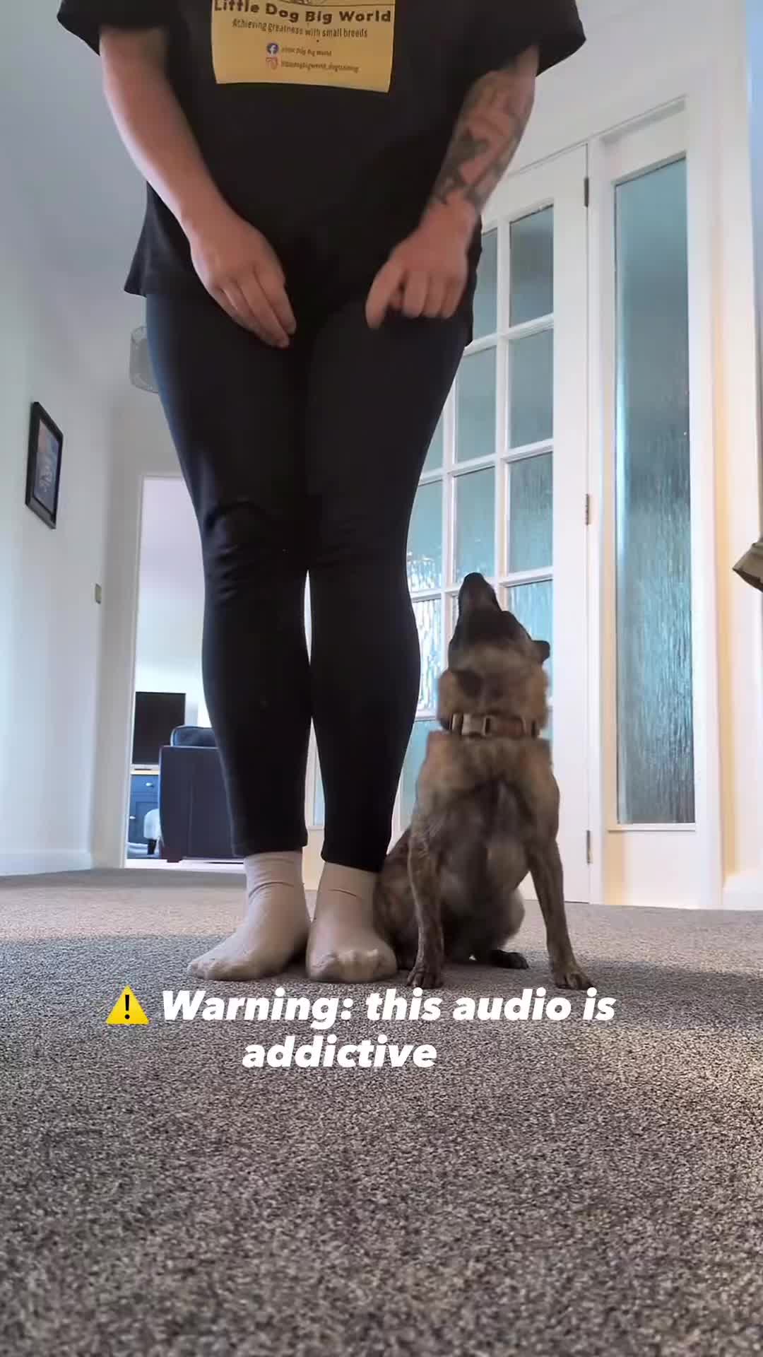 @STSK9