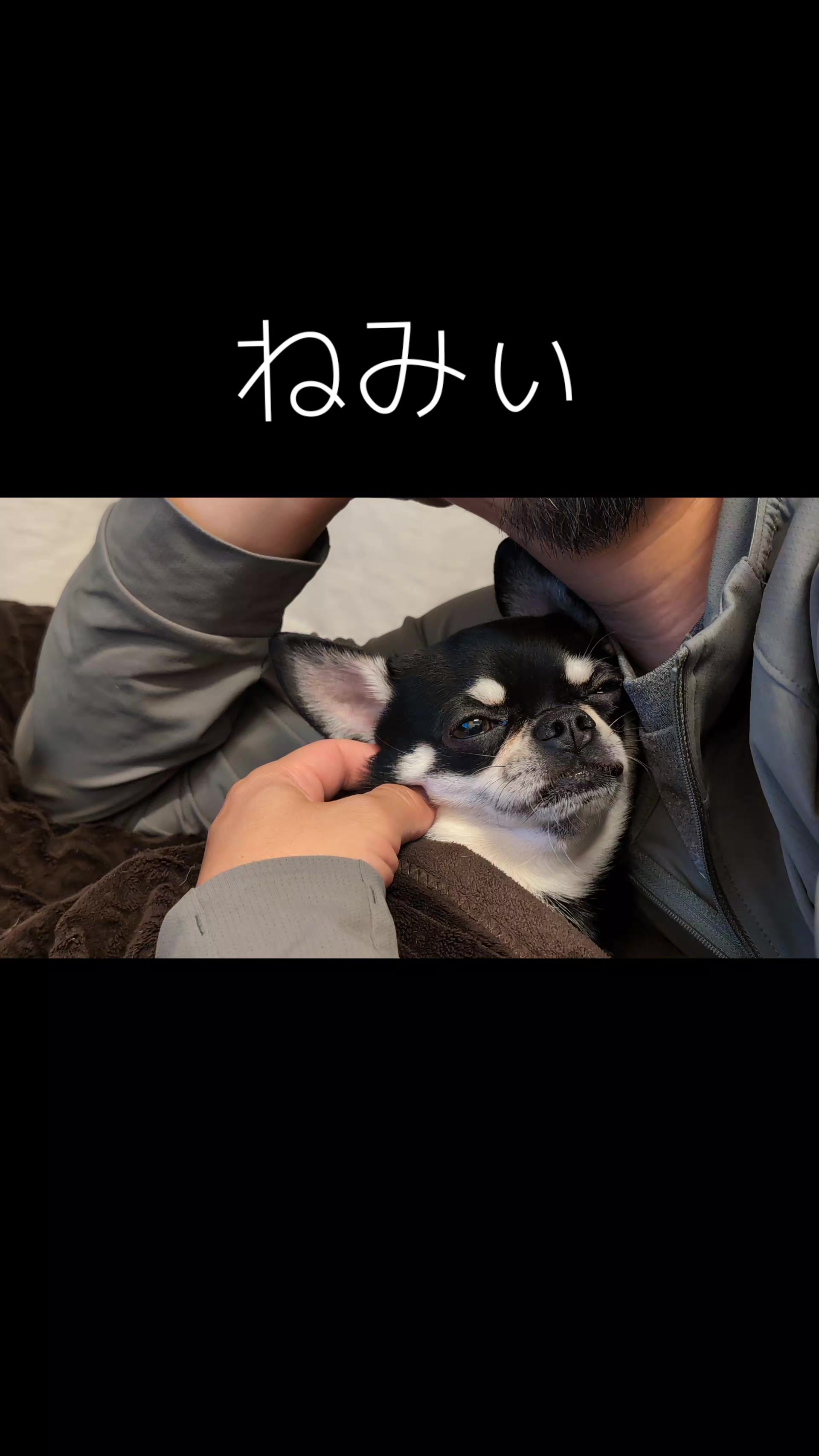 @ZEN