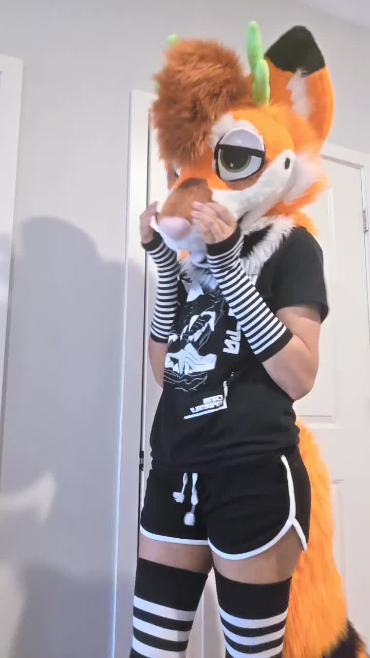 @mutt