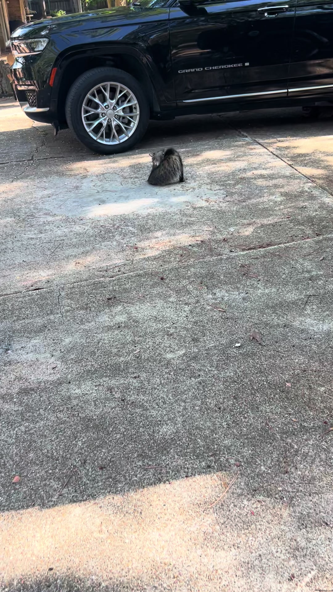 @YouGotTheLook