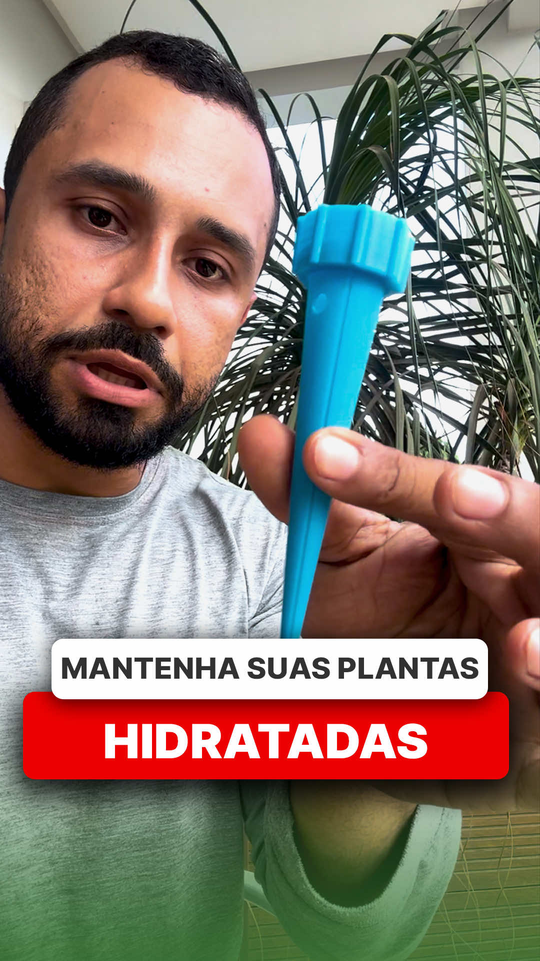 @ViveiroProMudas