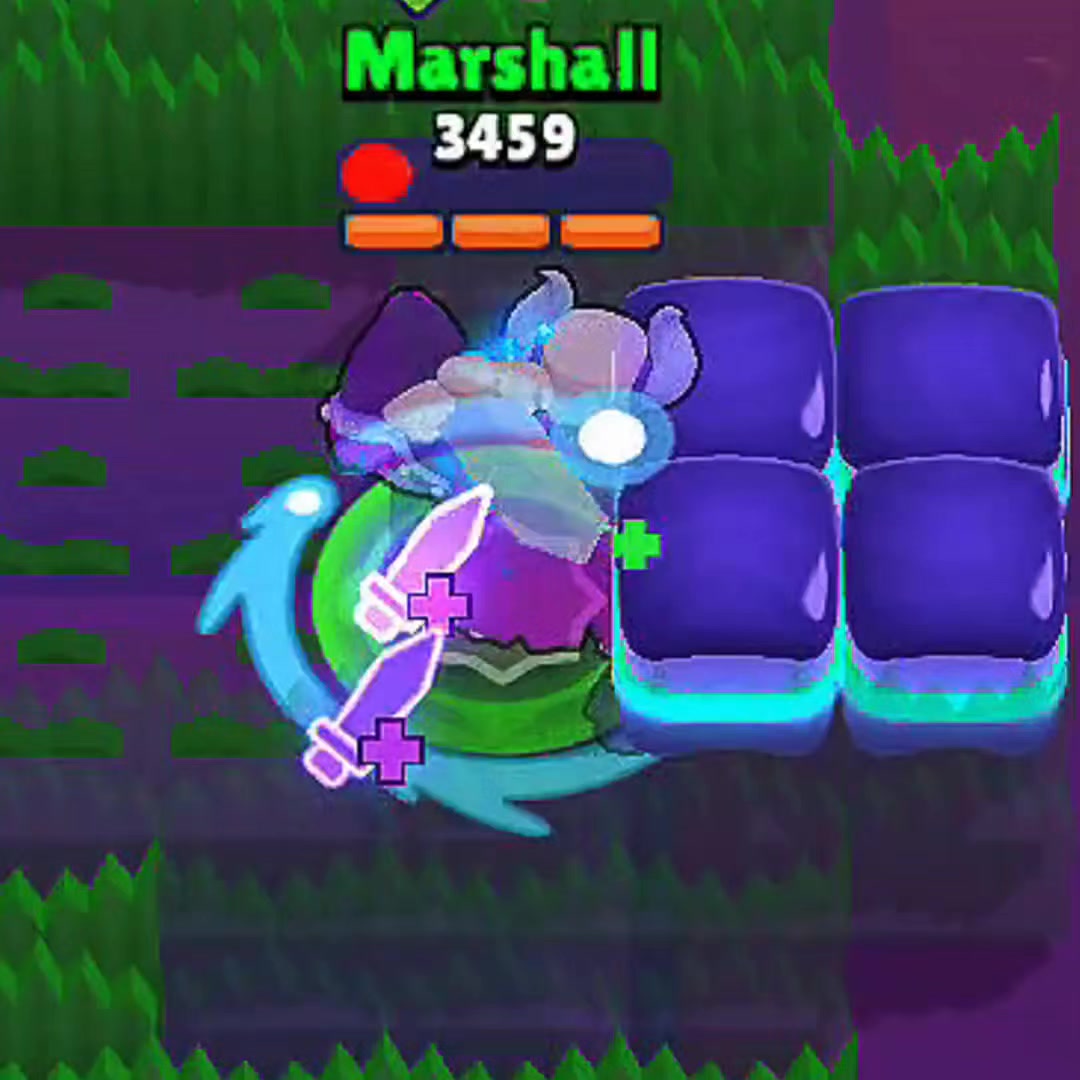 @MarshallF24