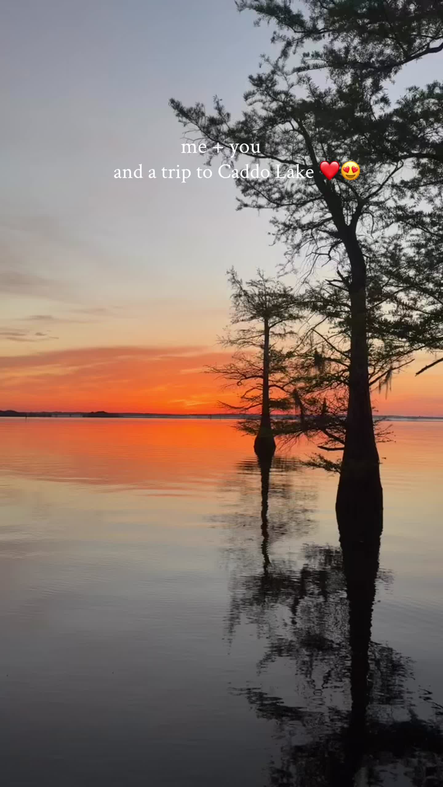@Caddo Lake FirstCastCabin