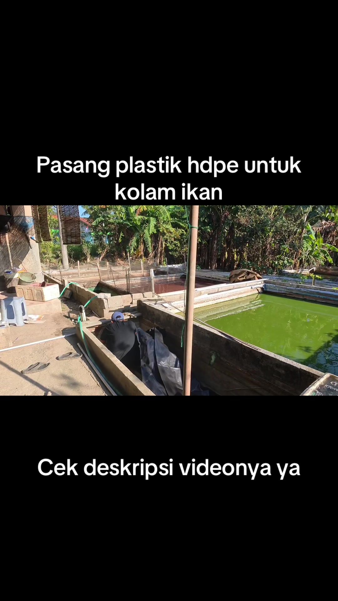 @NAMI TOKOKU