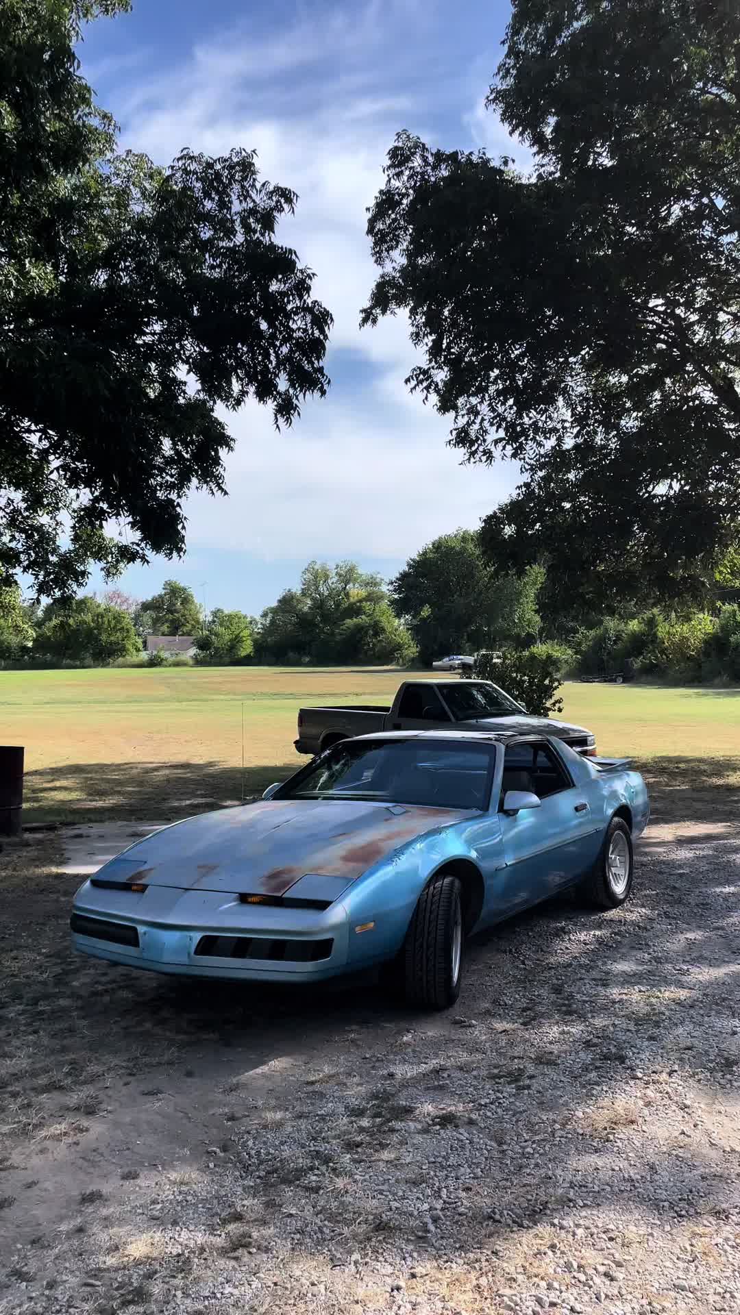 @august.dodson