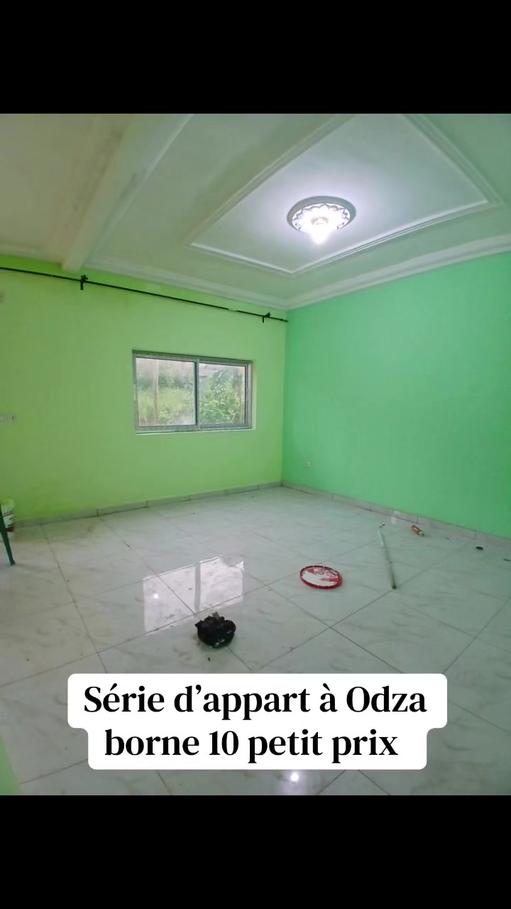 @DINO~IMMO~237🇨🇲🇨🇲