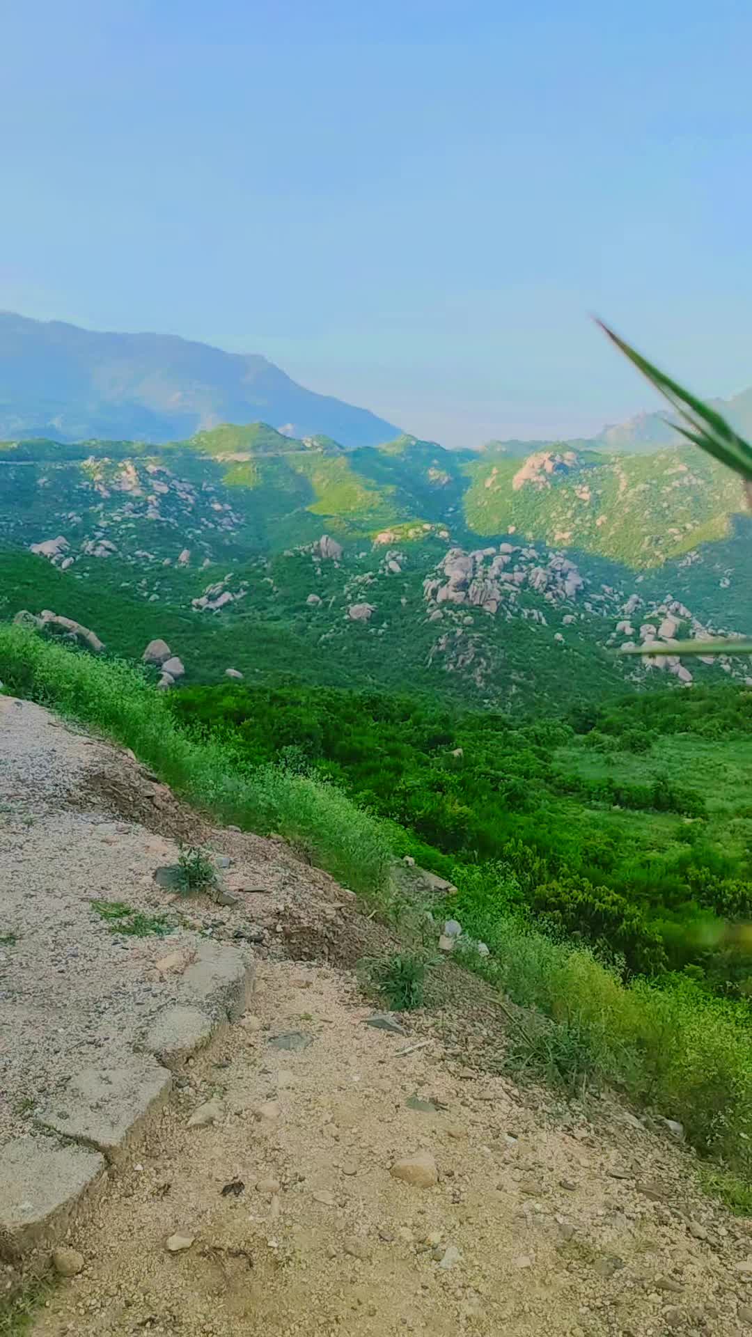 @سيد على