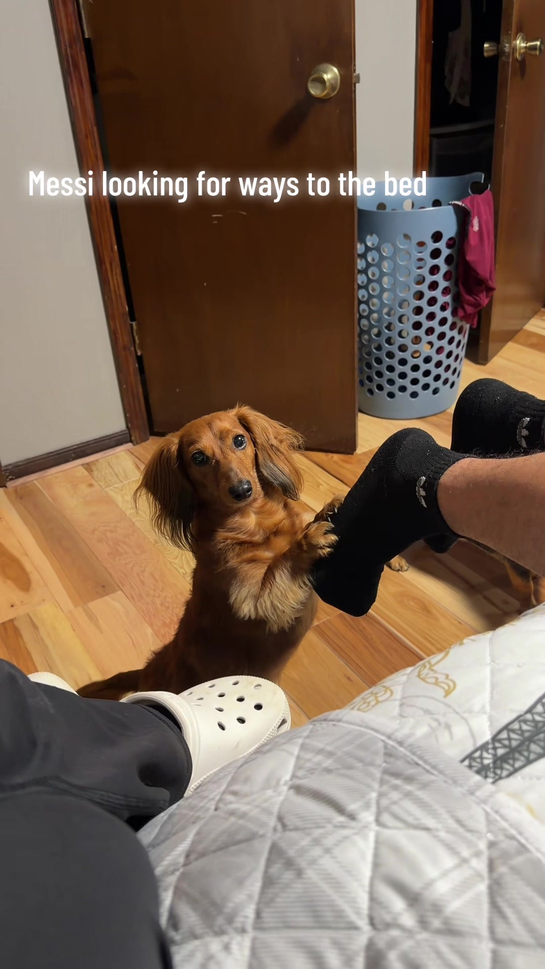 @Messi and Nelly(theweiners)