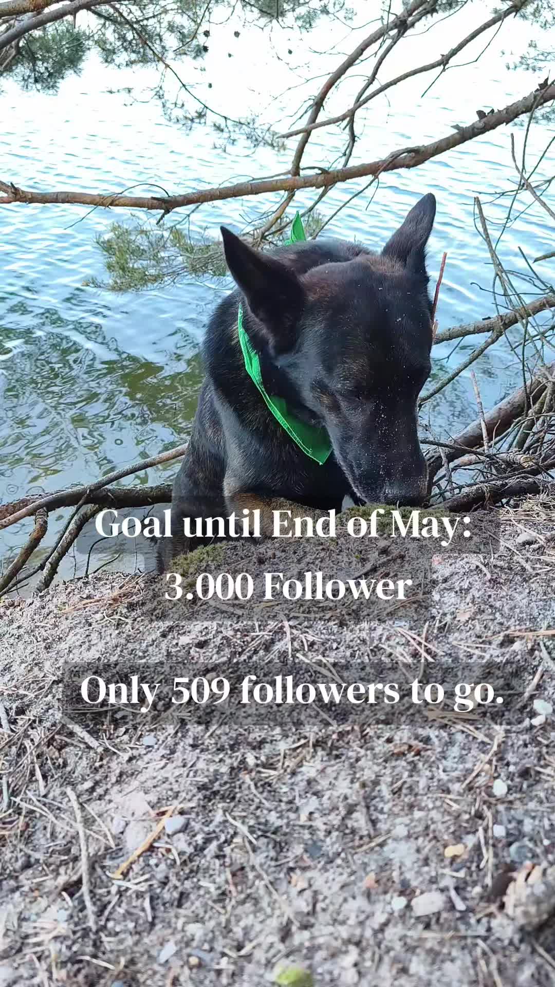 @Anna & Neo 🖤🐾