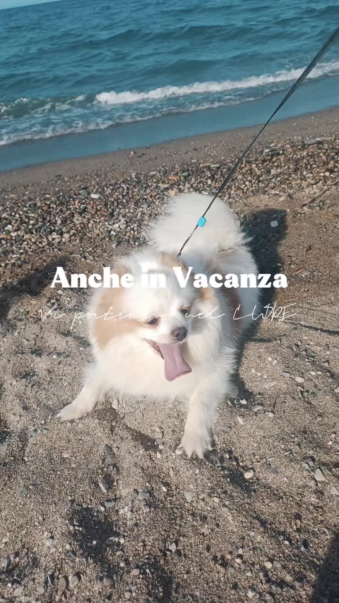 @Il bagnetto da Cici
