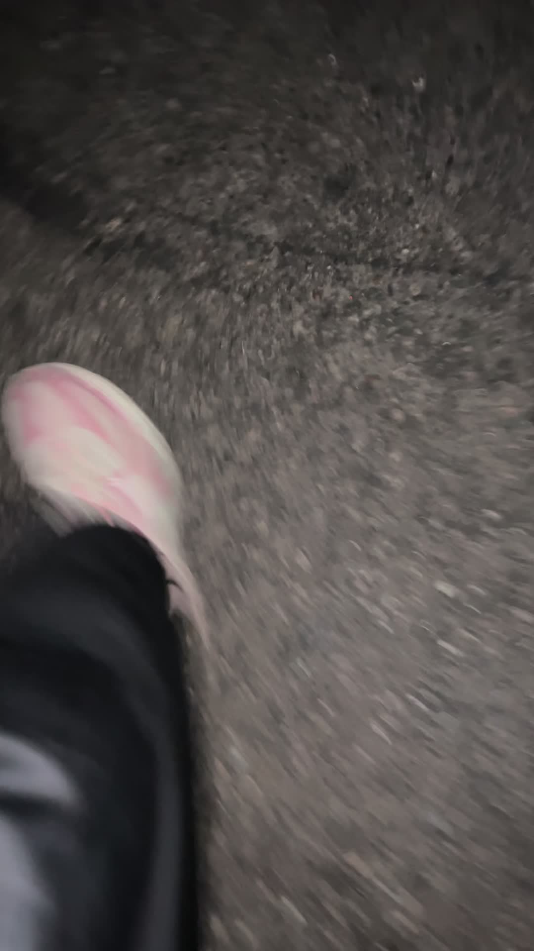 @alinaa.559_