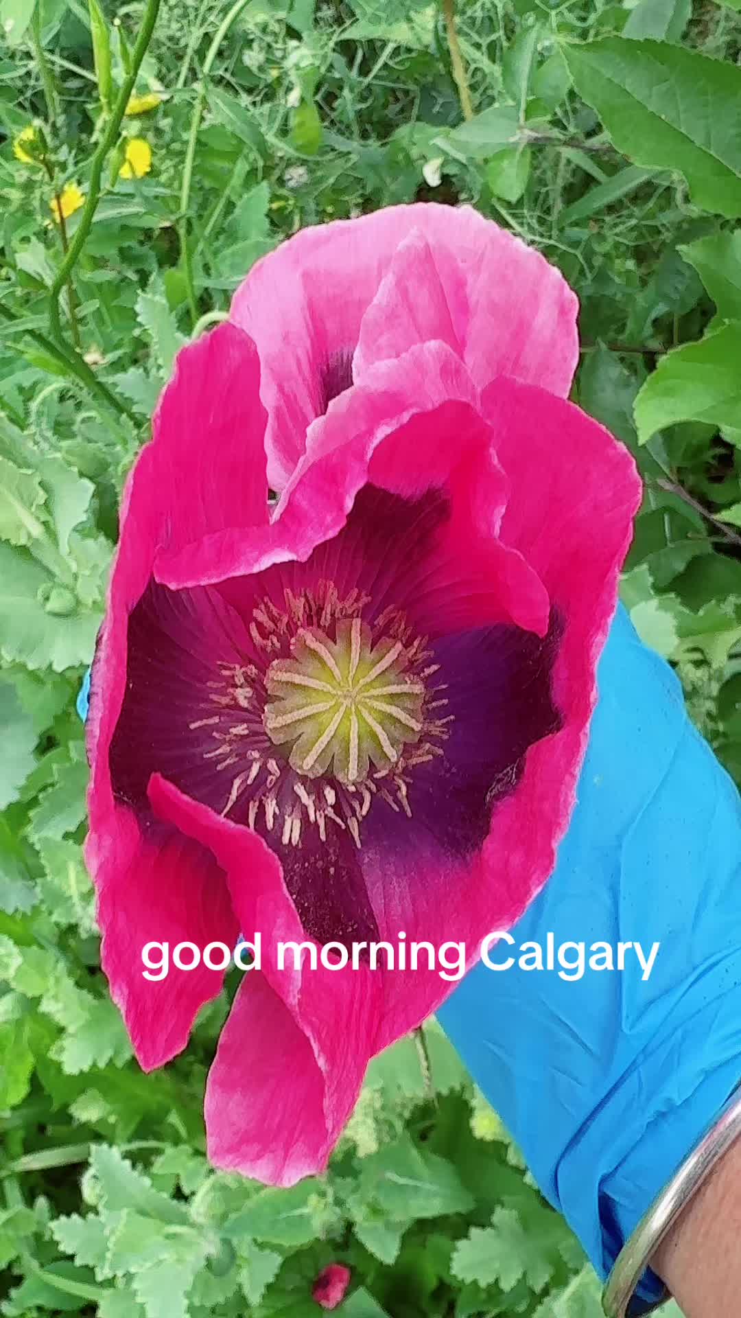 @deep 777