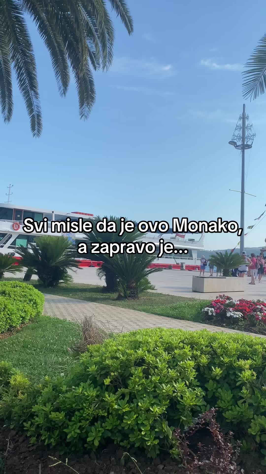 @denisjcar