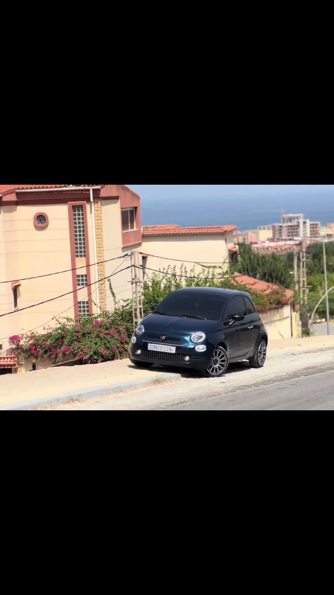 @nabil.diamond 16