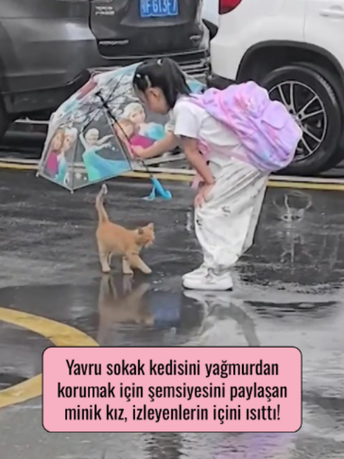 @Mynet Kadin