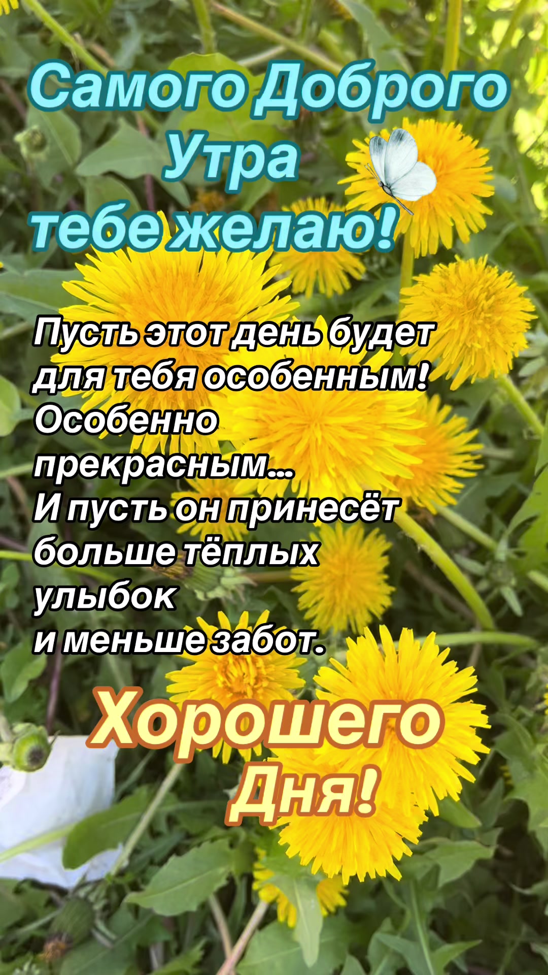 @Елена