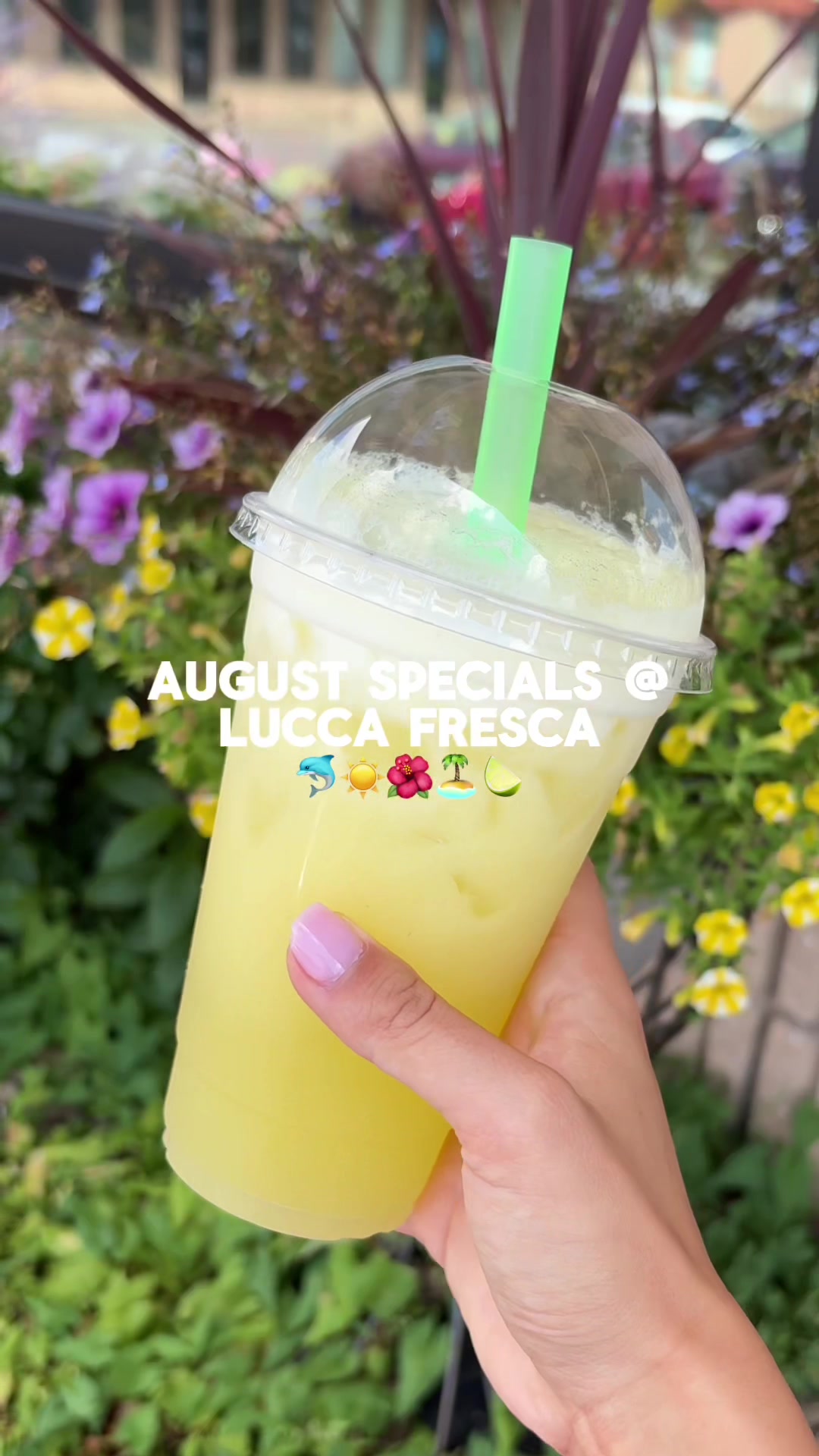 @lucca fresca