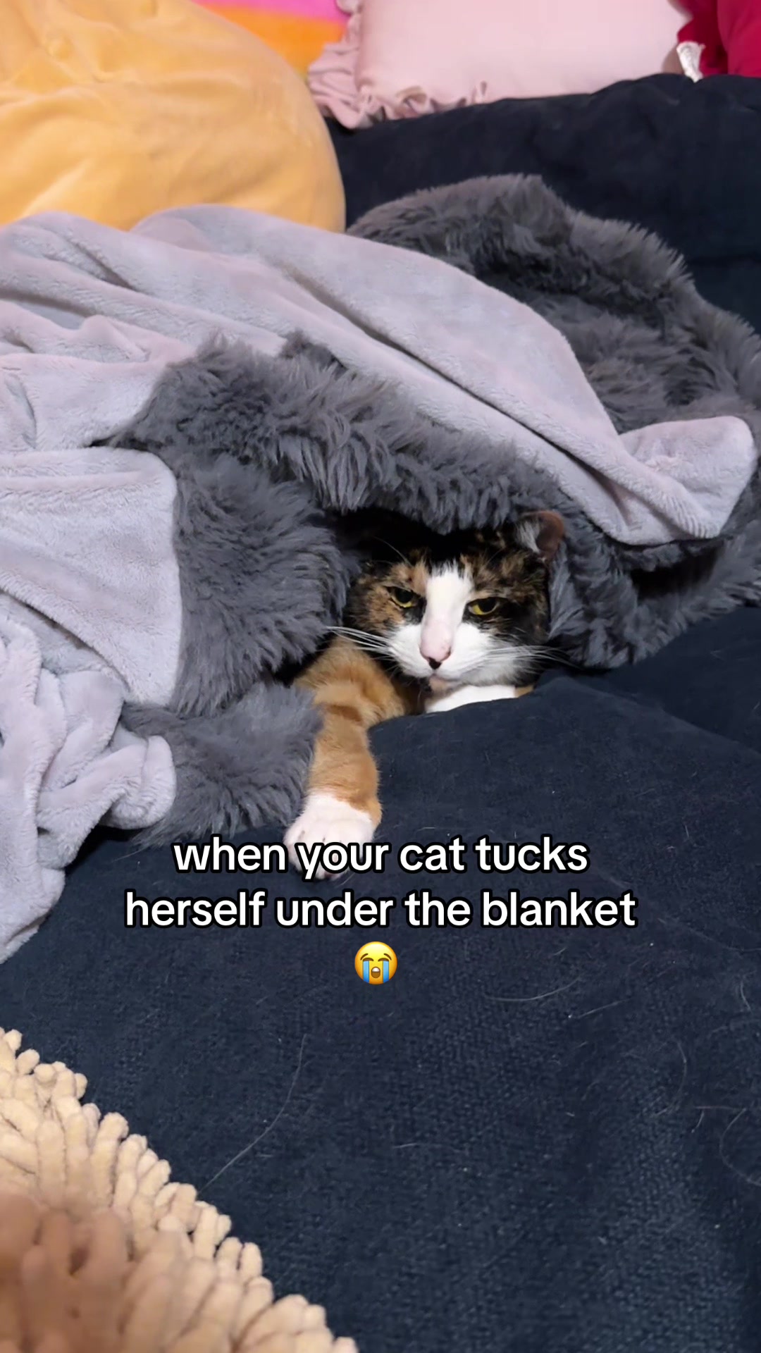 @meloncreamcat