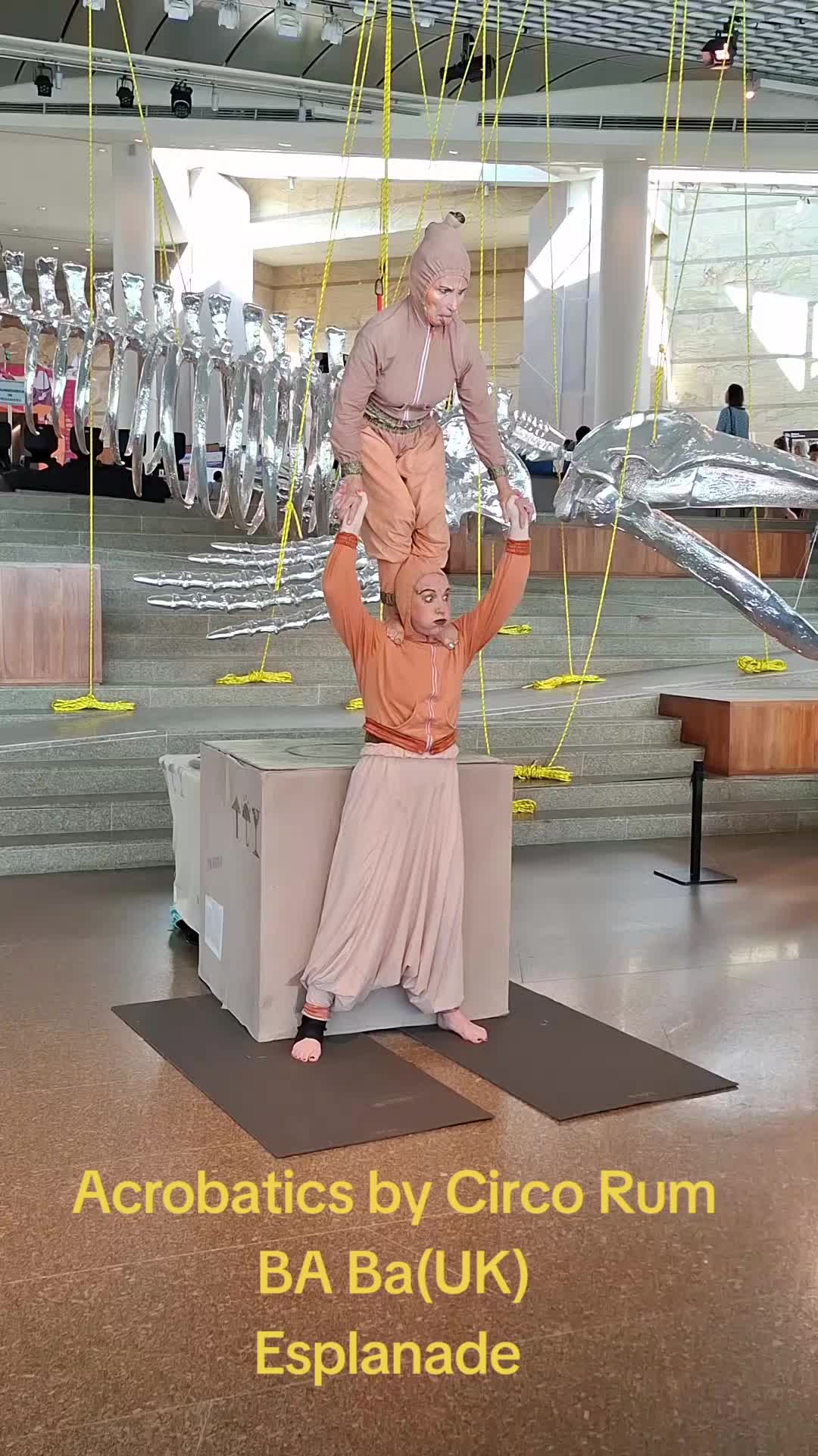 @user870761291605