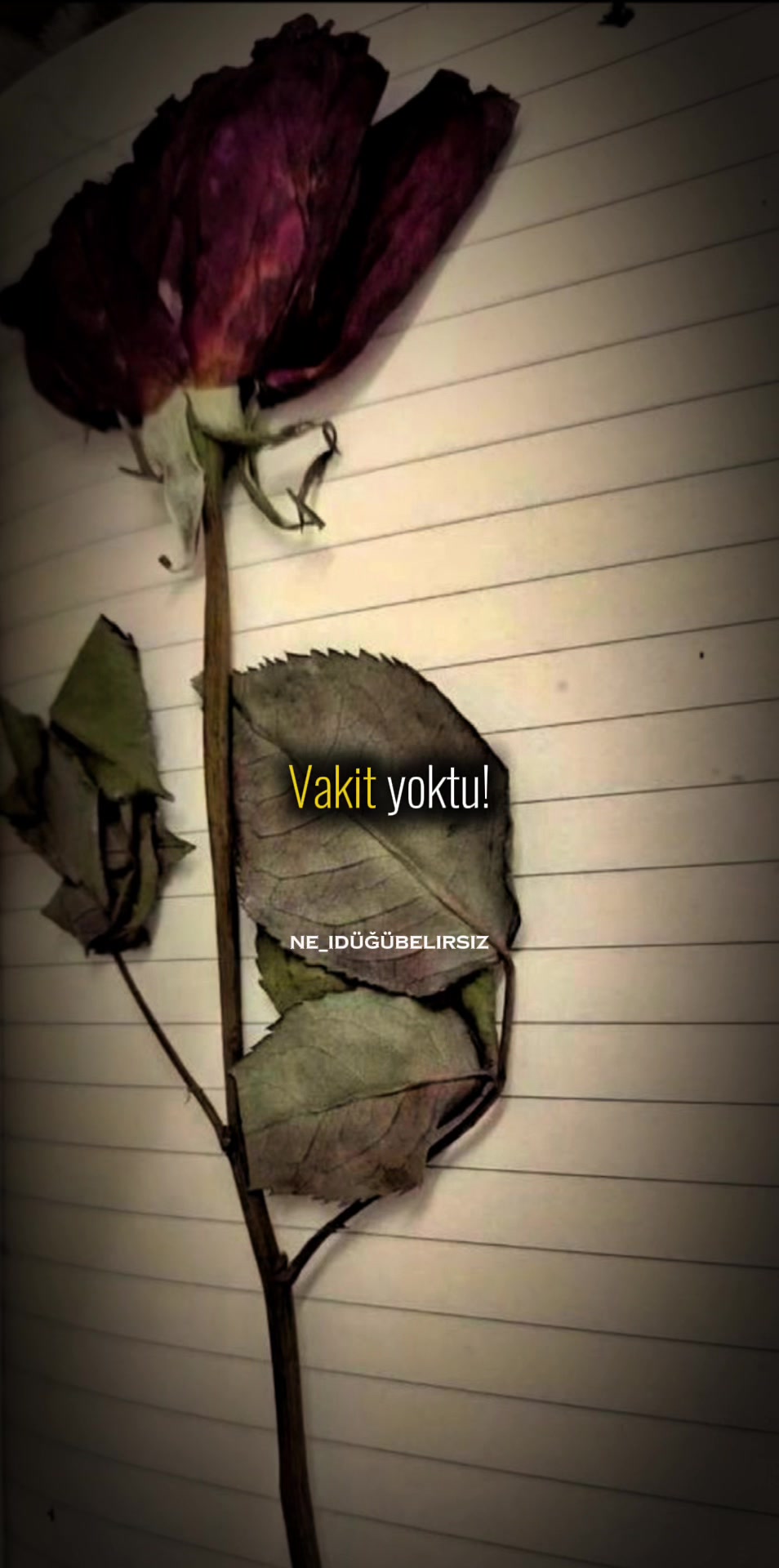 @ne_idugubelirsiz