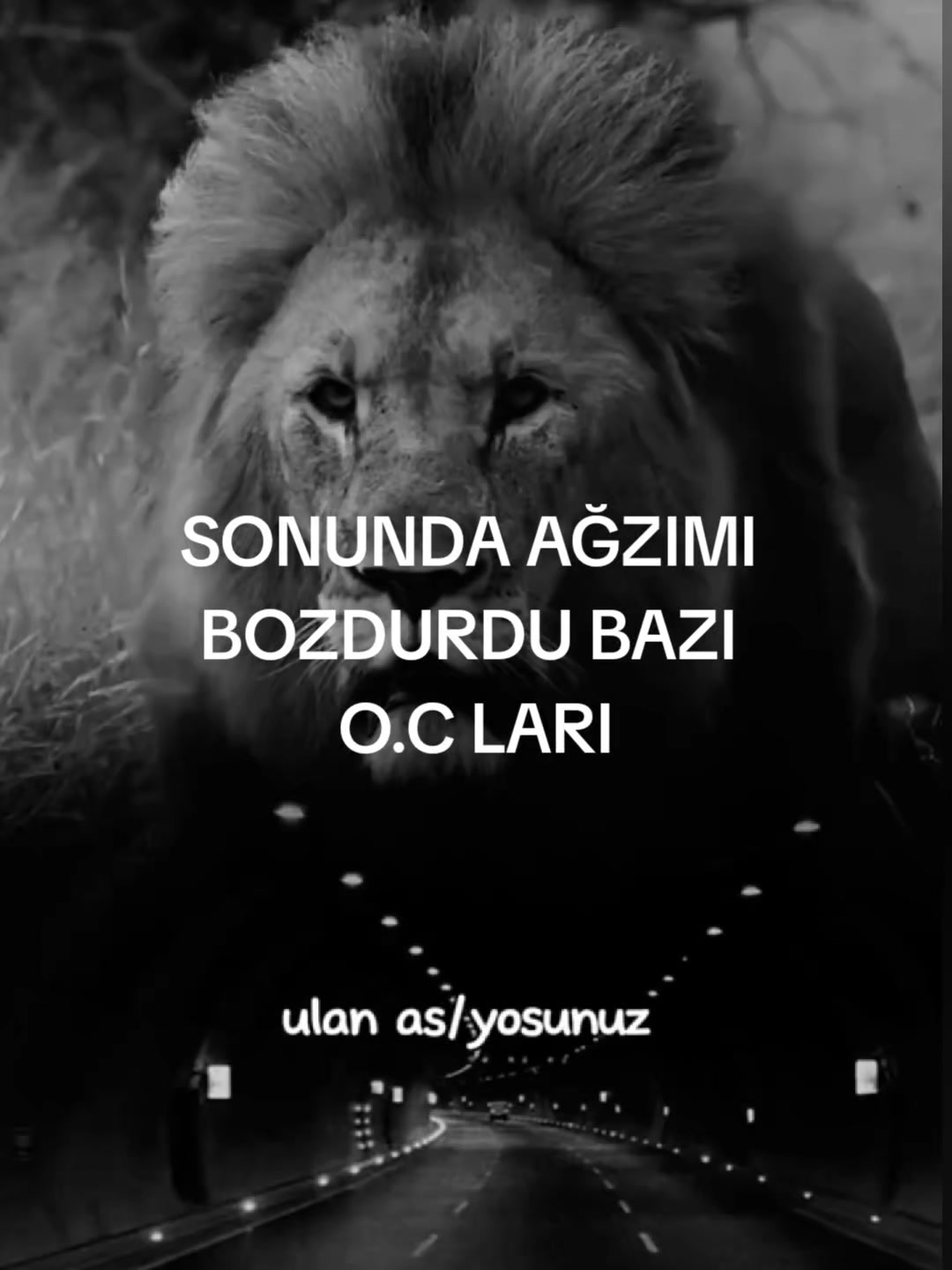 @👑KAPTAN 👑YILMAZ 3858 👑