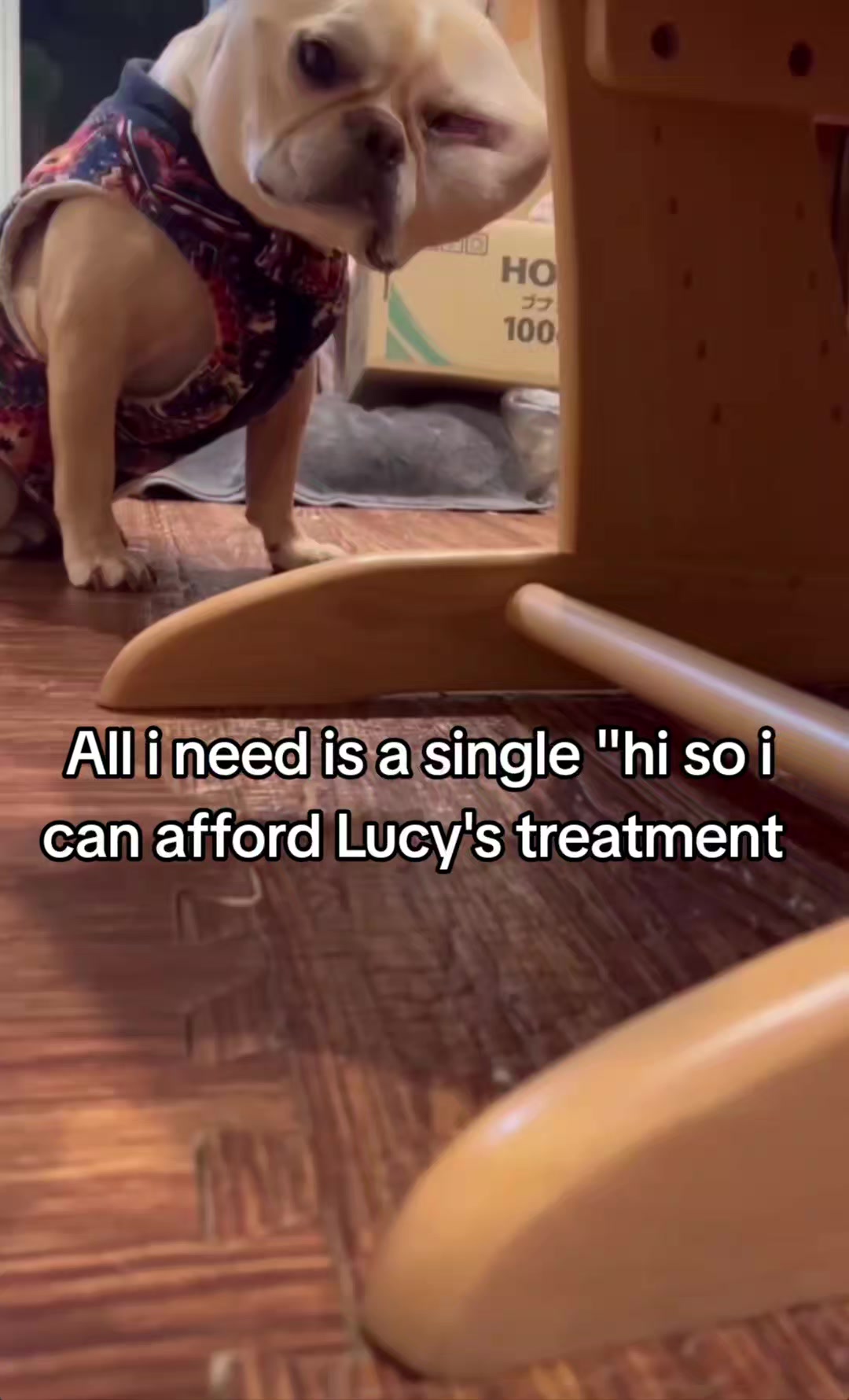 @CancerFighterPup