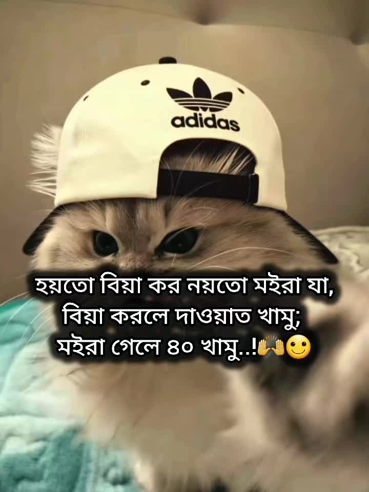 @Mᴀʀᴜғ Bɪʟʟᴀʜ 🌱