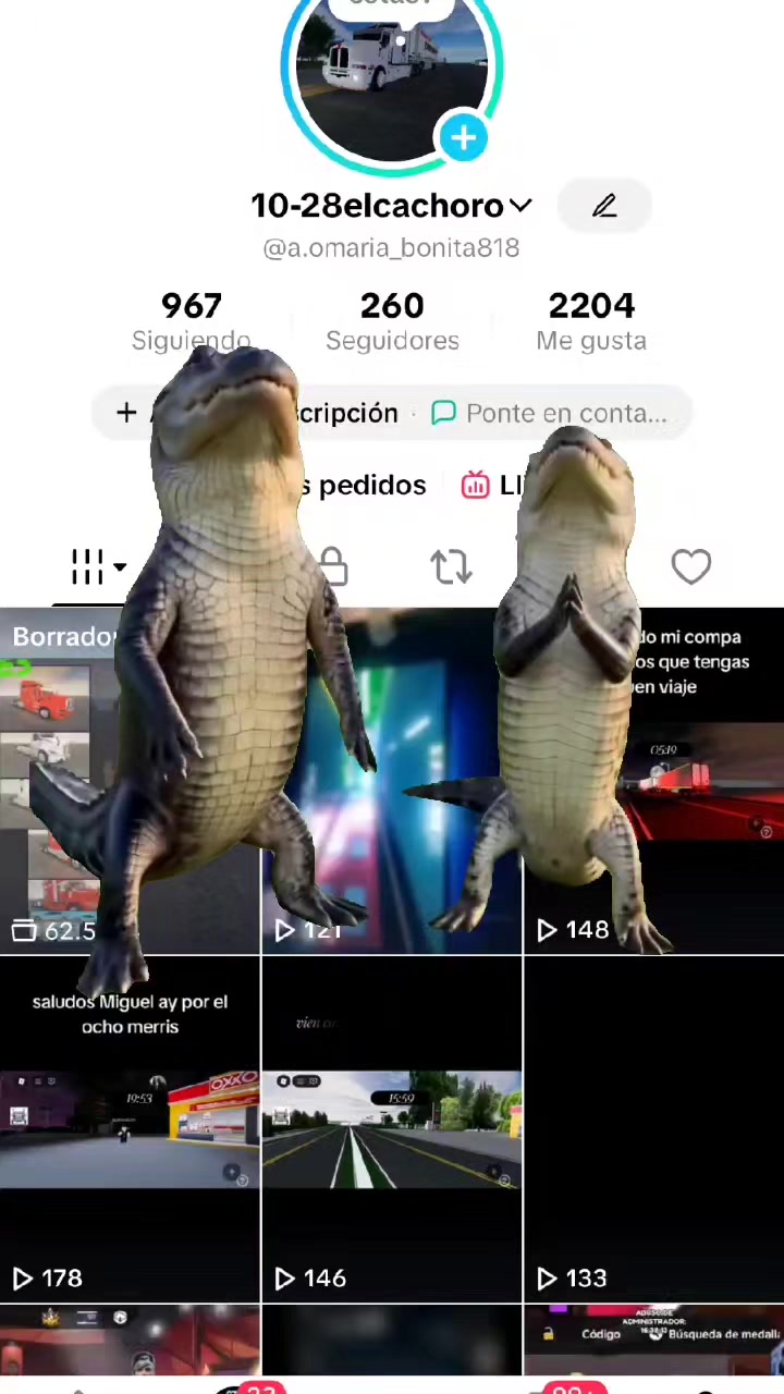 @10-28elcachoro