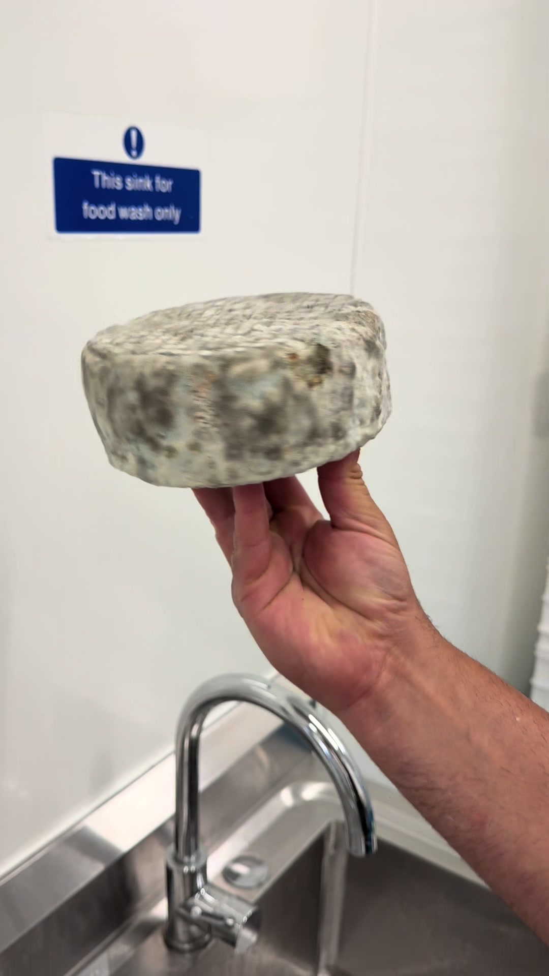 @Yorkshire pecorino