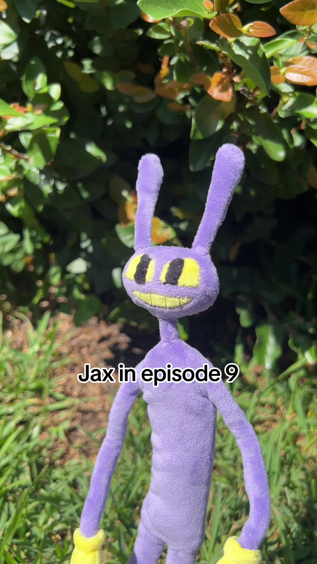 @Jaya