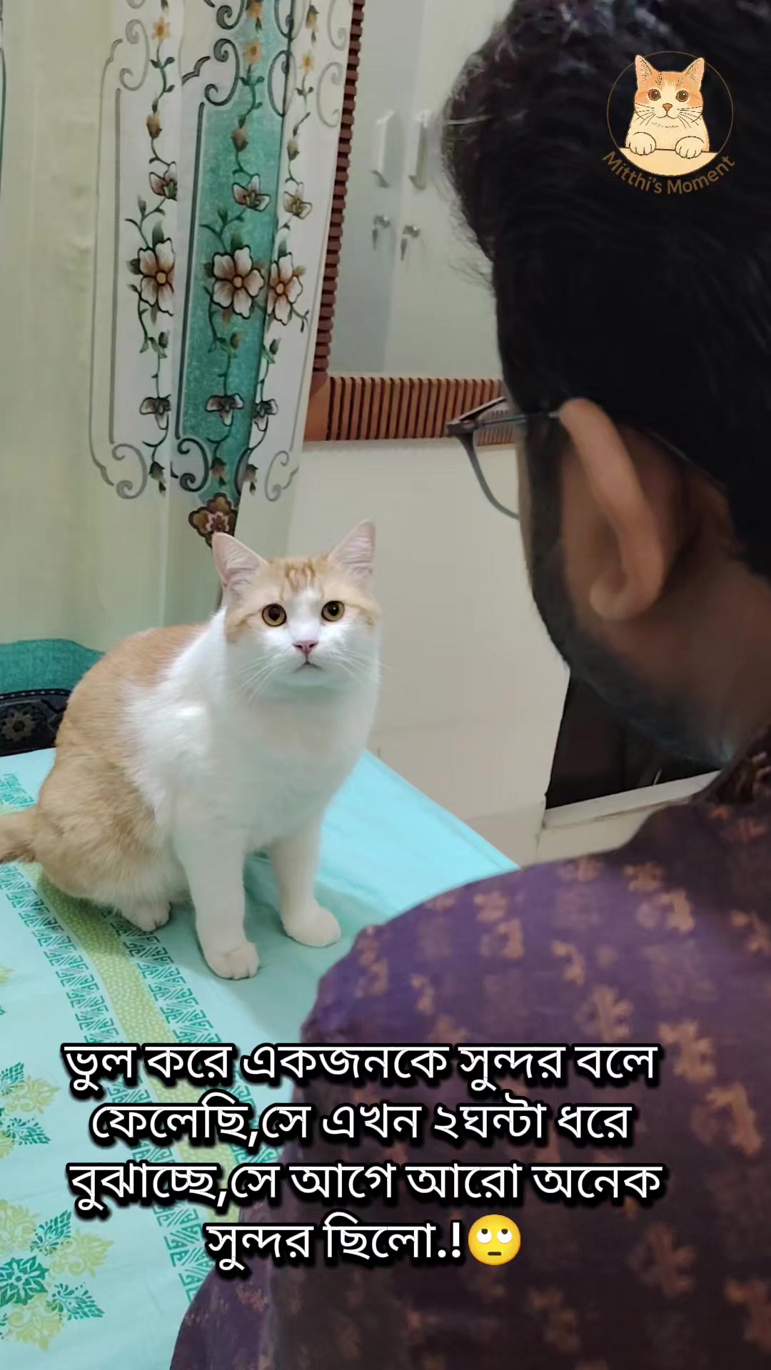 @Mitthi the Meow Meow
